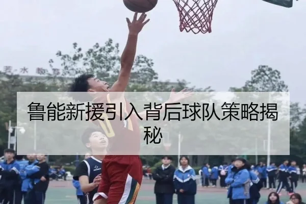 鲁能新援引入背后球队策略揭秘